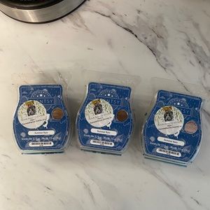 3 Summer Rain Scentsy Bars